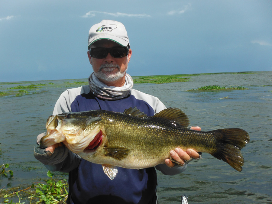 Aug 19 – Aug 25 2013 Fishing Report