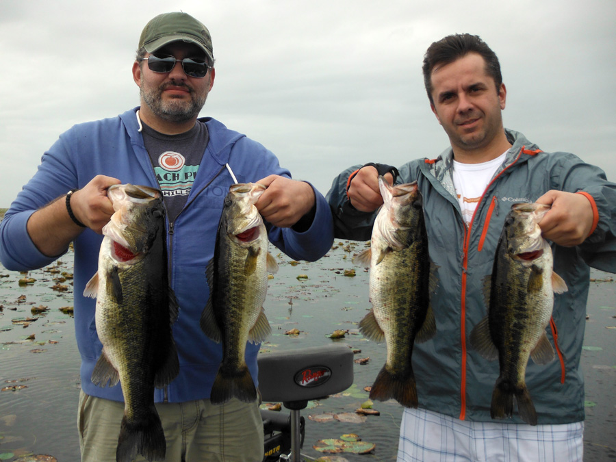 November 22, 2014 – Lake Okeechobee Bass Fishing Report