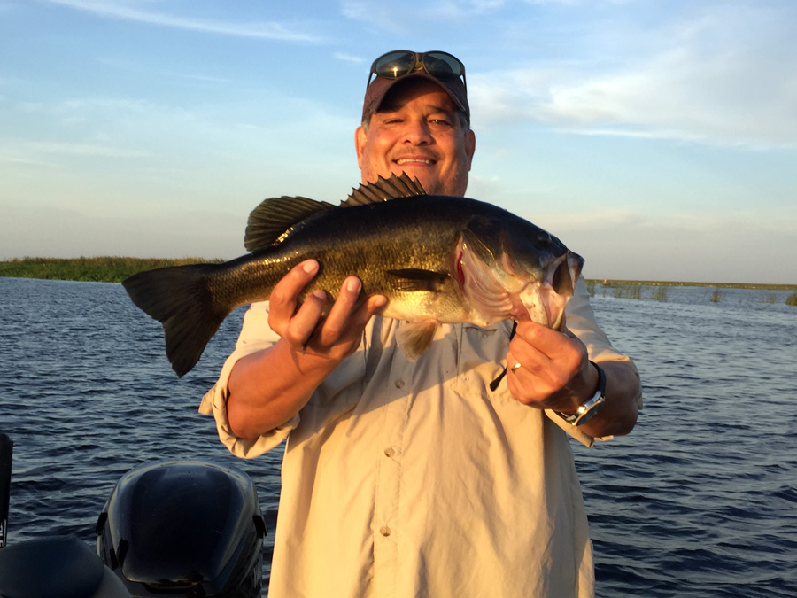 July 21, 2018 – Lake Okeechobee Bass Fishing Report